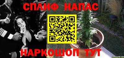 хмурый Бузулук