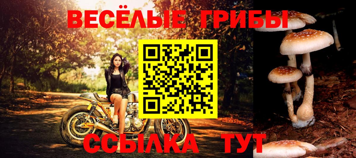 Галлюциногенные грибы ЛСД  Вход с VPN  Красногорск 